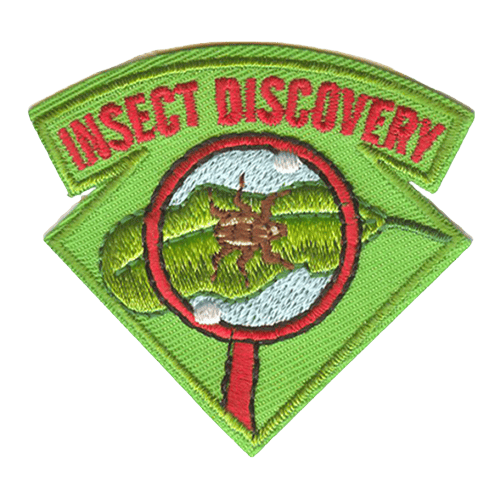 A red magnifier is over a green leaf with a brown insect on it. Insect Discovery is stitched across the top.