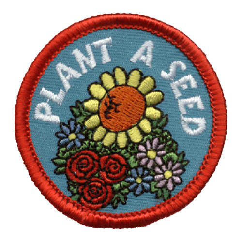 A bouquet of flowers consisting of daisies, roses, and a sunflower. The words Plant A Seed arch over the top of the flowers.