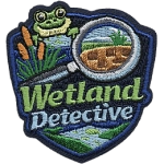 A frog peers curiously out of a pond above a spyglass and the words Wetland Detective.