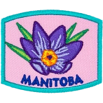 This patch displays Manitoba's provincial flower: the prairie crocus.