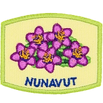 This patch displays Nunavut's provincial flower: the purple saxifrage.