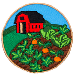 A red barn is behind a patch of vegetables and in front of a blue sky.