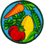 A carrot, corn, tomato, cucumber and some leaves are on this circular patch.