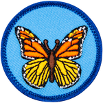 A red and yellow butterfly on a blue background.