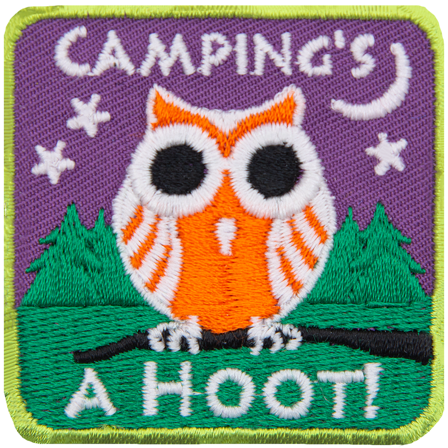 An orange and white owl sits on a branch in front of a forested hill. The words Camping's A Hoot are above and below.
