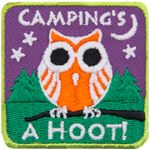 An orange and white owl sits on a branch in front of a forested hill. The words Camping's A Hoot are above and below.