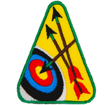 An archery target with a bullseye and two extra arrows.