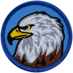 An eagle bust on a blue background.