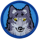 A grey wolf head on a blue background.