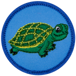 A green turtle on a blue background.