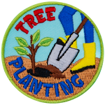A person plants a sapling in fresh soil.