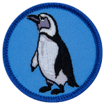 A Humboldt penguin on a blue background.