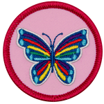 A rainbow butterfly on a pink background.