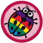 A rainbow-striped ladybug.