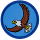 Flying Eagle (Iron-On)