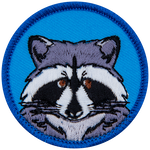 A forward-facing raccoon on a blue background.