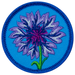 E602