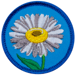 A white daisy is in the centre of a blue, circular patch. 