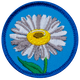 E603