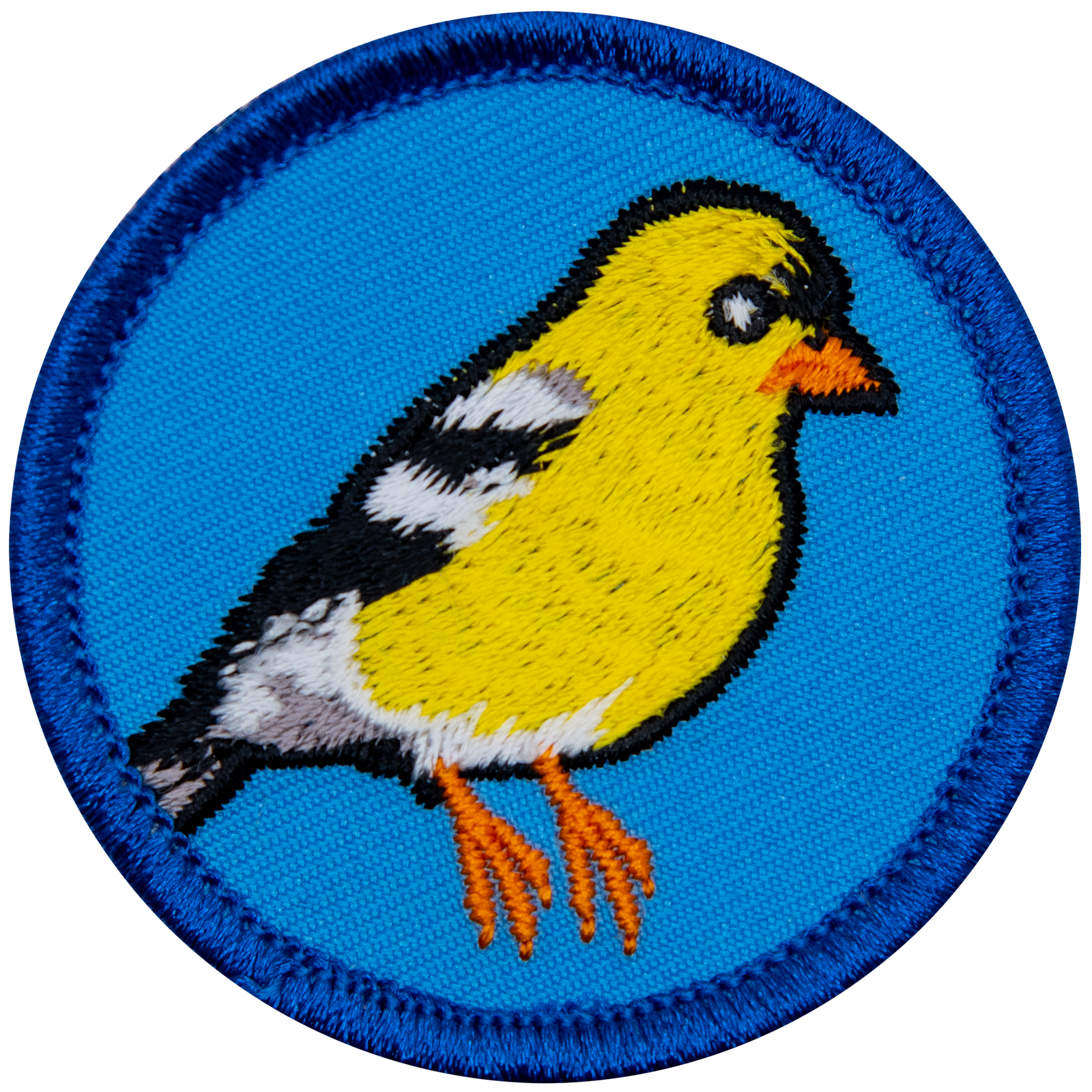 E604