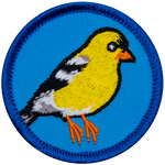 This circular patch displays a vibrant yellow goldfinch, a small finch with a striking black cap and white rump.