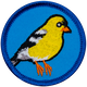 Goldfinch (Iron-On)