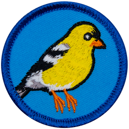 E604