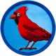 Cardinal (Iron-On)