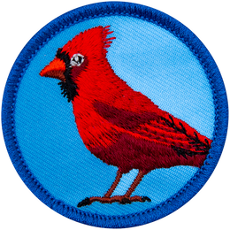 E716