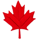 Maple Leaf Medium (Iron-On)