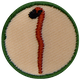 Walking Stick (Iron-On)