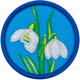 Snowdrop (Iron-On)