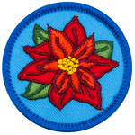 The top-down view of a red poinsettia against a blue background.