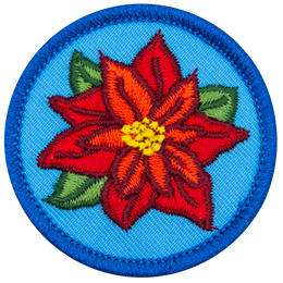 E809