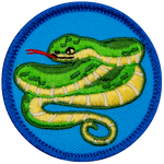 A green snake coiled around itself, sticking out its red tongue on a blue background.
