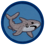 A grey shark swimming through a blue background.
