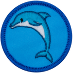 A blue dolphin leaping in the air on a blue background. 