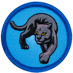 A black panther turns towards the viewer on a blue background.