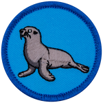A sea lion with its head raised high on a blue background.