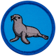 Sea Lion (Iron-On)