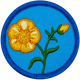 Buttercup (Iron-On)