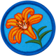 Tiger Lily (Iron-On)