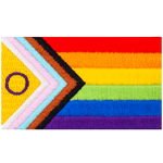 The progress pride flag is displayed with its rainbow of colours and arrow-shaped lines.