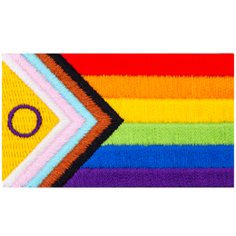 The progress pride flag is displayed with its rainbow of colours and arrow-shaped lines.