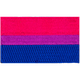 Bisexual Pride Flag Patch (Iron-On)