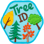 The word Tree ID is above several different tree species. 