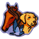 Animal Veterans (Iron On)