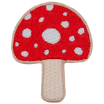 A mushroom with a red cap and white spots.