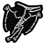 The skeleton of a Pteranodon.