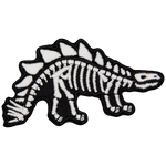 The skeleton of a Stegosaurus on a black background.